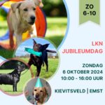 LKN Jubileumdag